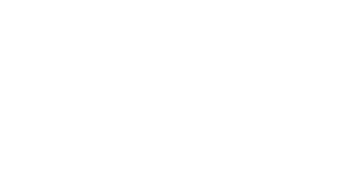 ELSMOTION